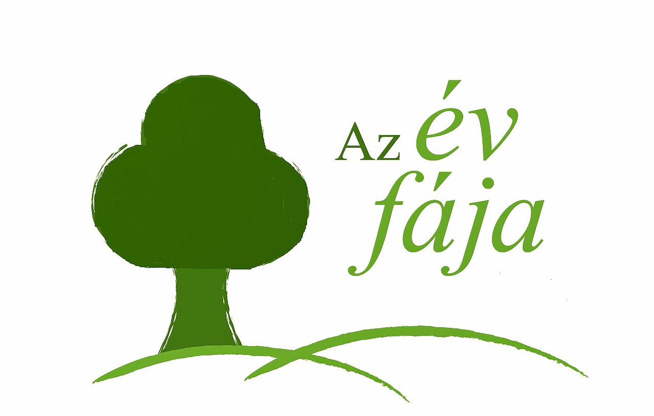 Szavazzon az Év fájára és válassza meg a 2026. esztendő fafaját! - 30 éves lesz az Év fája mozgalom